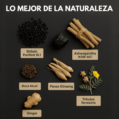 Shilajit Puro del Himalaya – Aphroly®